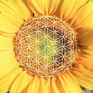 Meet your Posher, Noelle